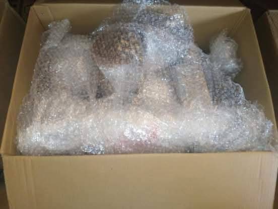 WhatsApp Image 2026-04-13 at 4.26.53 PM (1)